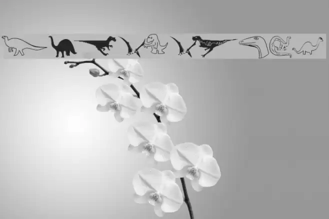 DinosoType Font examples