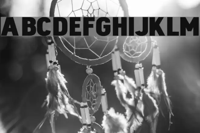 Dinova Black Font examples