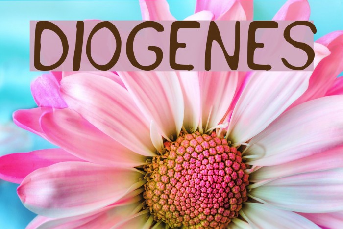 Diogenes Font examples