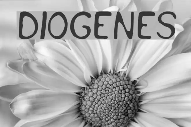 Diogenes Example 3