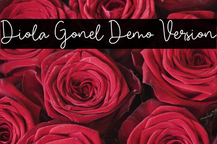 Diola Gonel Demo Version Example 3