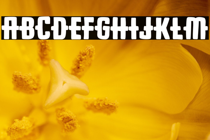 Dios con nosotros Example 2