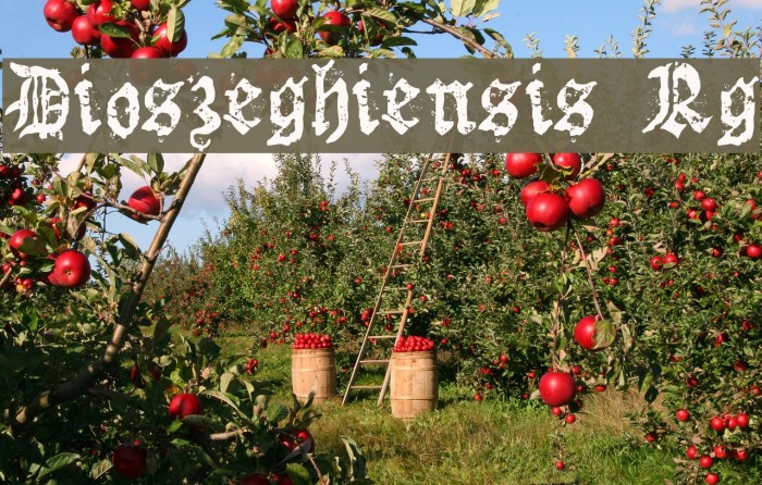 Dioszeghiensis Rg Font examples