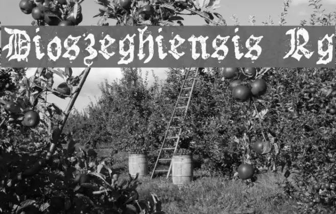 Dioszeghiensis Rg Example 3