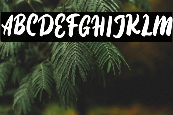 DiotamFREE Example 1