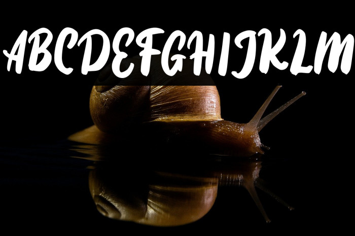 DiotamFREE Example 2