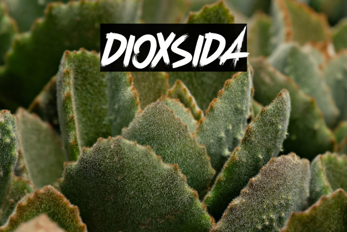 Dioxsida Example 1