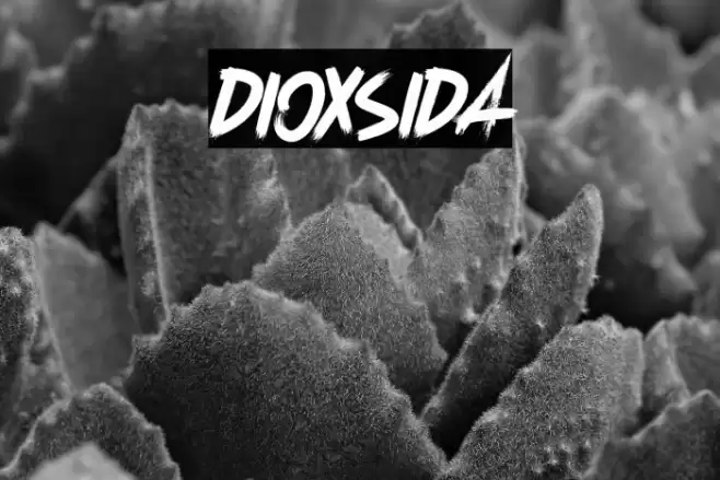 Dioxsida Font examples