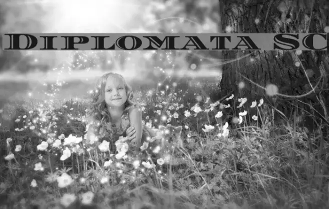 Diplomata SC Example 2