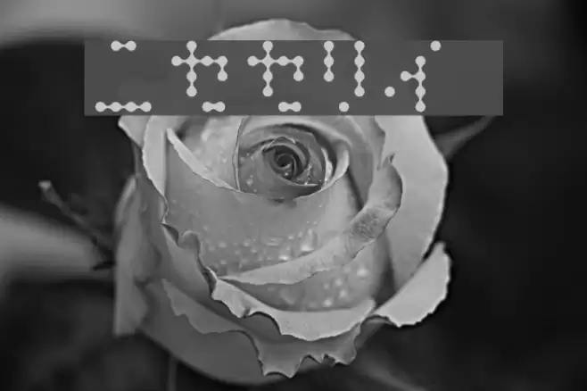 Dipple KK S Font examples