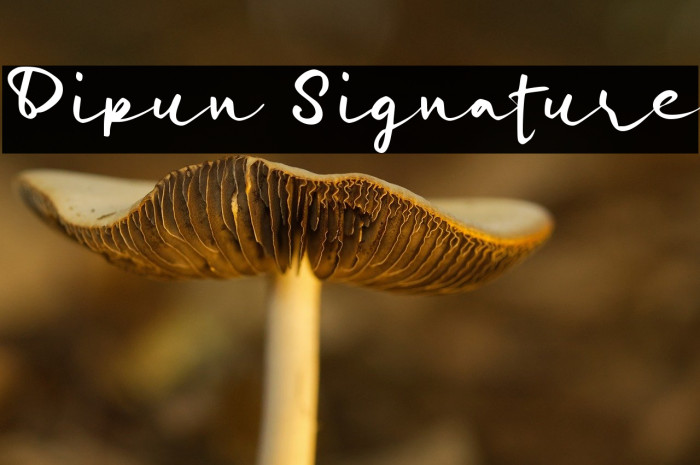 Dipun Signature Example 1