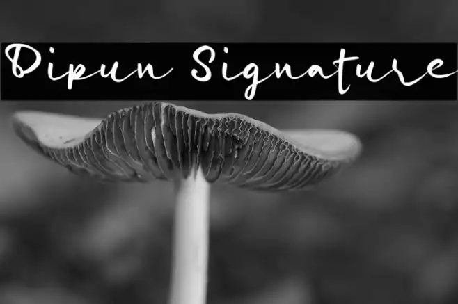 Dipun Signature Example 1