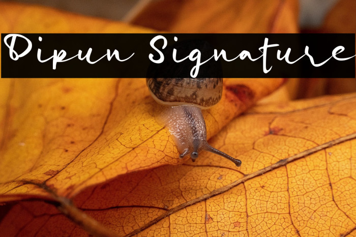 Dipun Signature Example 2