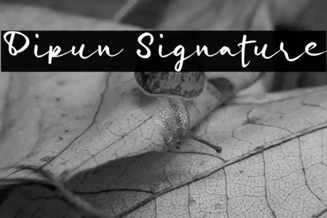 Dipun Signature Example 2