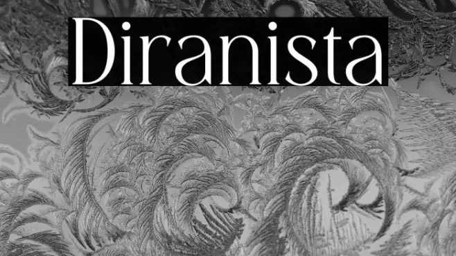 Diranista Example 2