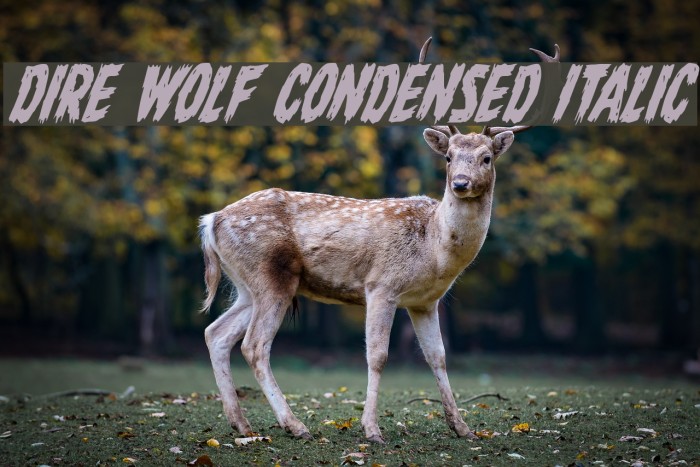Dire Wolf Condensed Italic Font examples