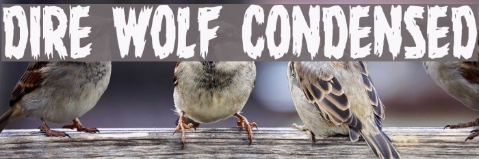 Dire Wolf Condensed Font examples