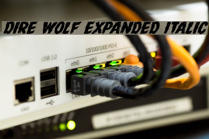 Dire Wolf Expanded Italic Font examples