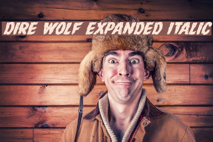 Dire Wolf Expanded Italic Font examples