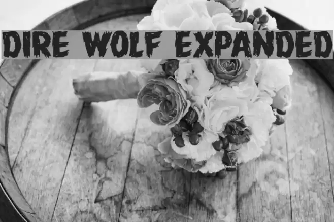 Dire Wolf Expanded Font examples