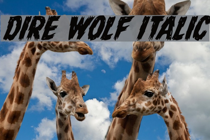 Dire Wolf Italic Font examples