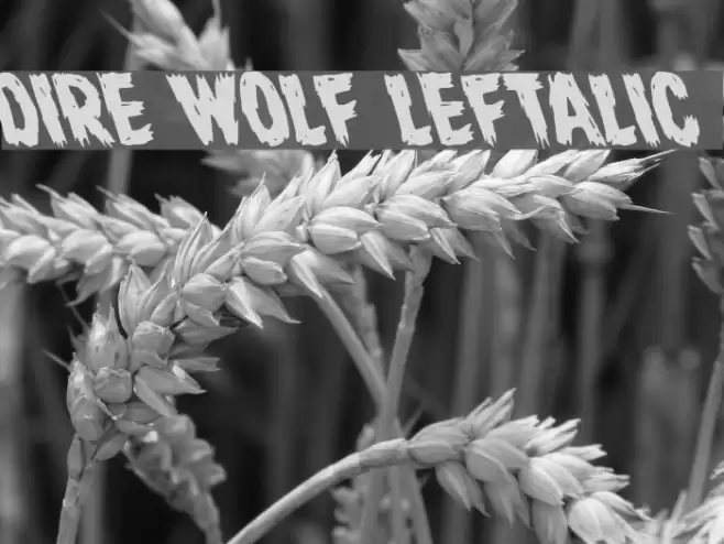 Dire Wolf Leftalic Font examples