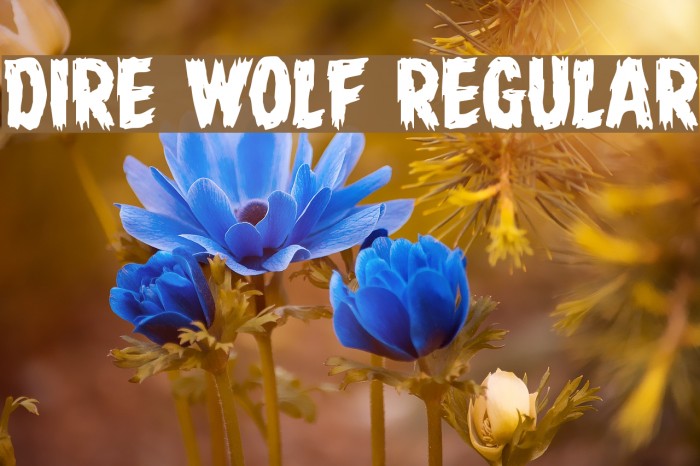 Dire Wolf Regular Font examples