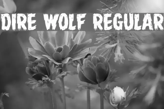 Dire Wolf Regular Polices examples