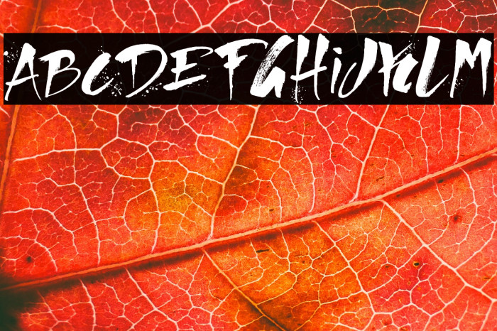 Direct du Gauche Example 1