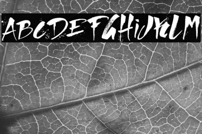 Direct du Gauche Font examples