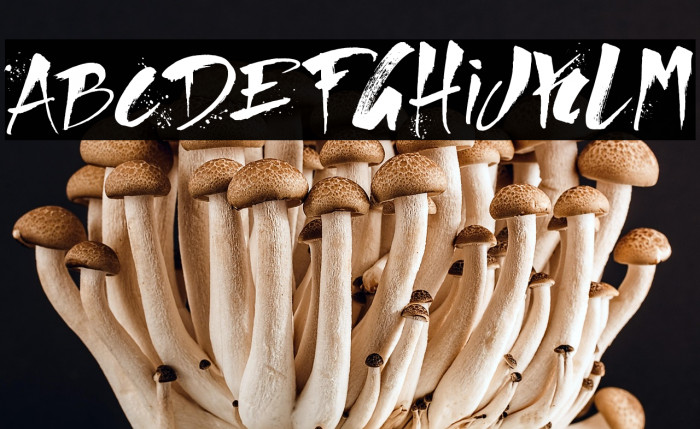 Direct du Gauche Example 3