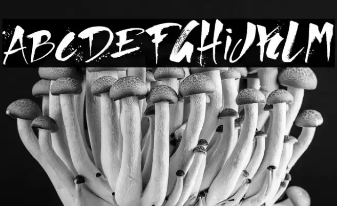 Direct du Gauche Font examples