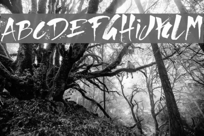 Direct du Gauche Font examples