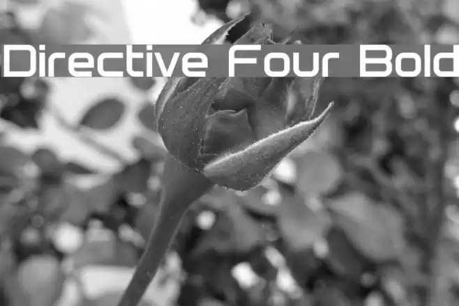 Directive Four Bold Font examples