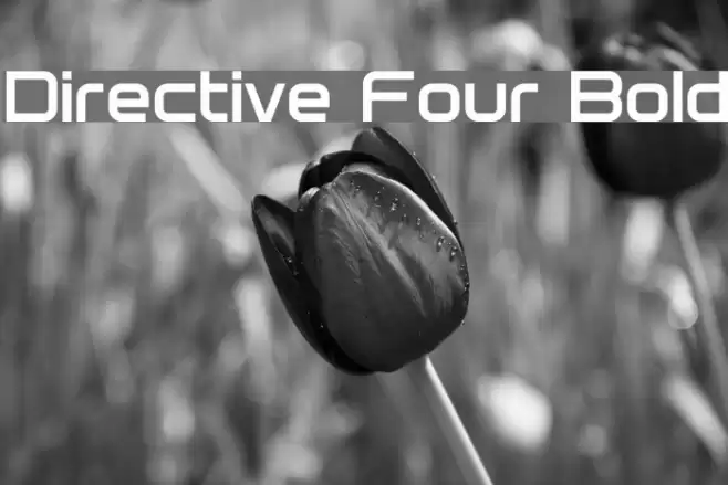 Directive Four Bold Font examples
