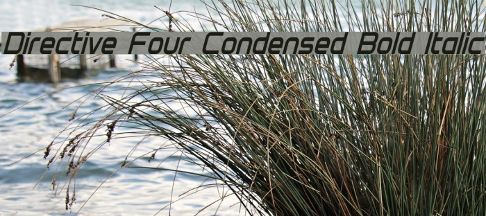 Directive Four Condensed Bold Italic Font examples