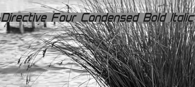 Directive Four Condensed Bold Italic Caratteri examples