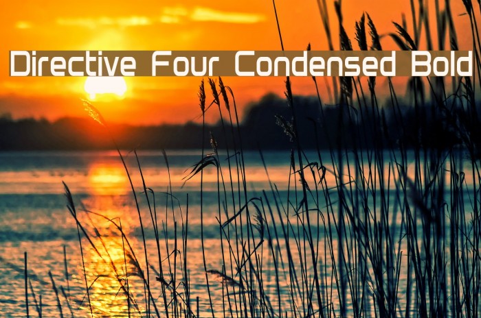 Directive Four Condensed Bold フォント examples