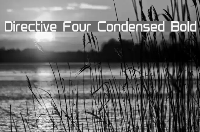 Directive Four Condensed Bold Polices examples