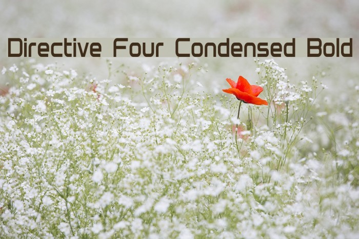 Directive Four Condensed Bold フォント examples