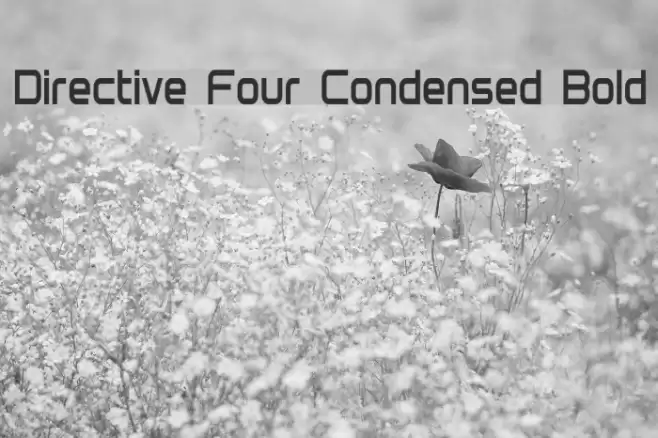 Directive Four Condensed Bold Polices examples