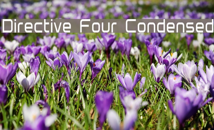 Directive Four Condensed Font examples
