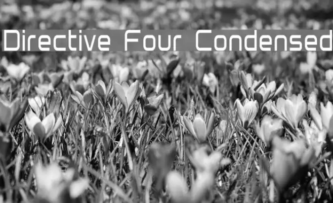 Directive Four Condensed Example 1