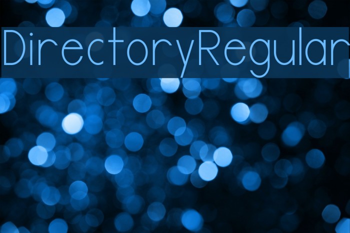 DirectoryRegular Font examples