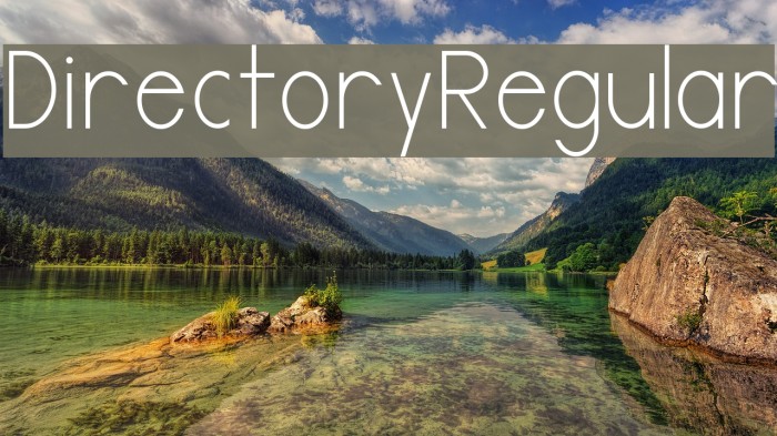 DirectoryRegular Font examples