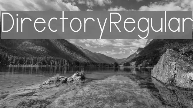 DirectoryRegular Example 2
