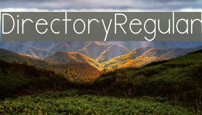 DirectoryRegular Font examples