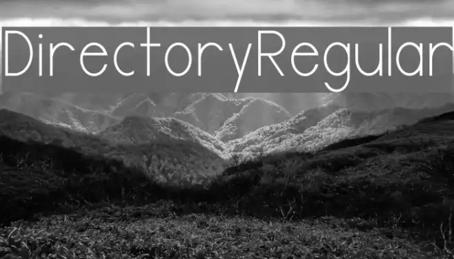 DirectoryRegular Example 3