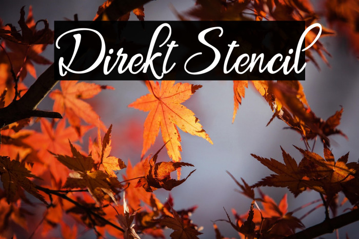 Direkt Stencil Example 2