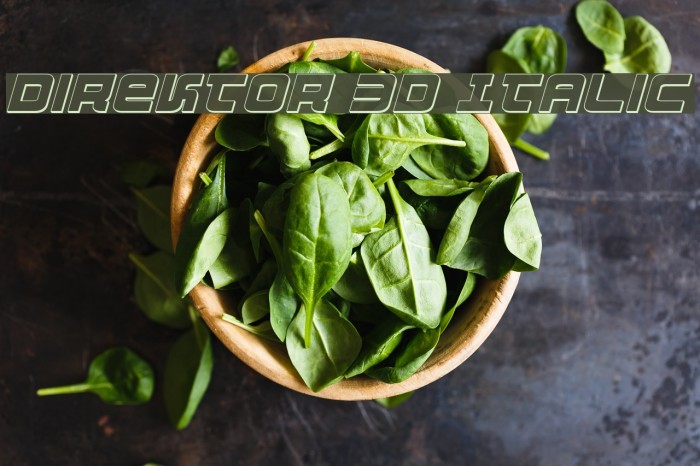 Direktor 3D Italic Font examples